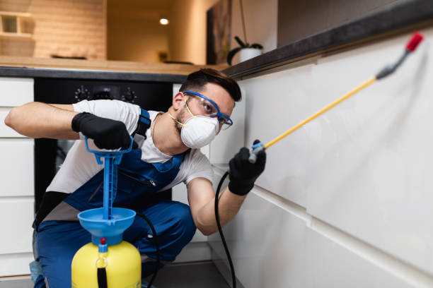 Pest Prevention Services in Lacey, WA