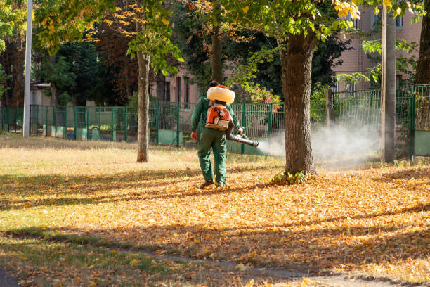 Best Bird Control  in Lacey, WA